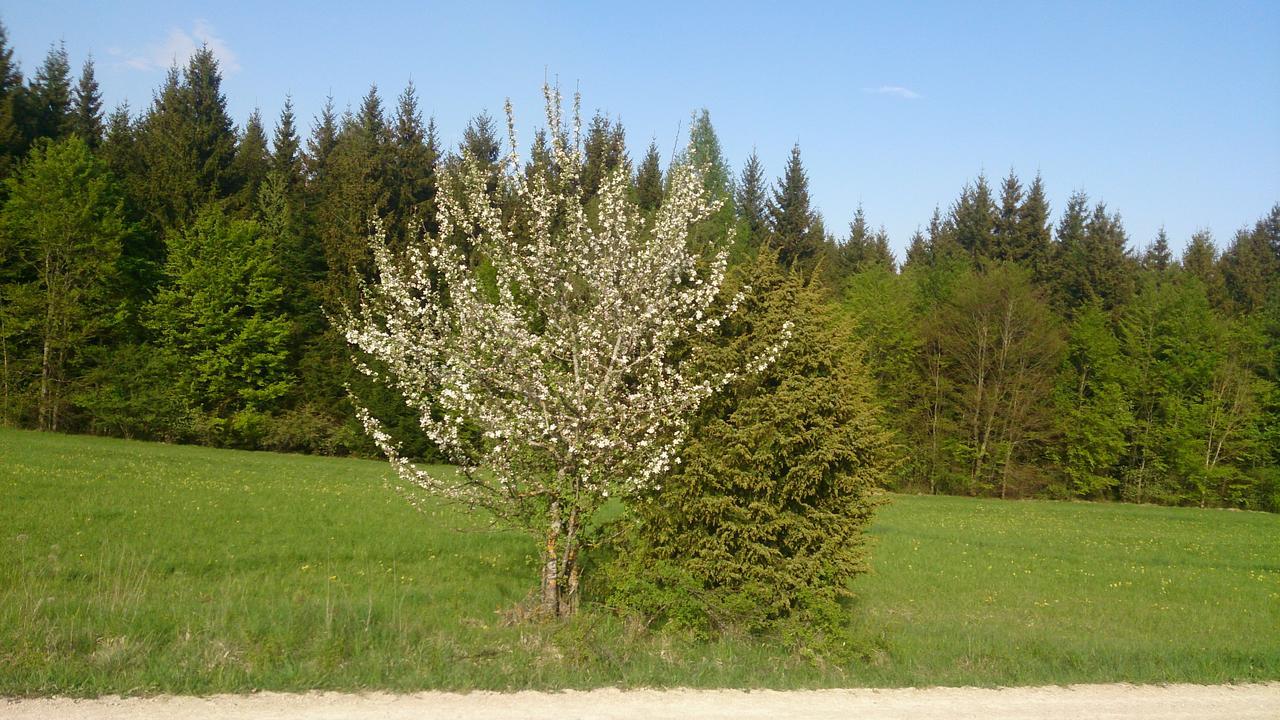 Berghaus Knopfmacher Fridingen an der Donau Exterior foto